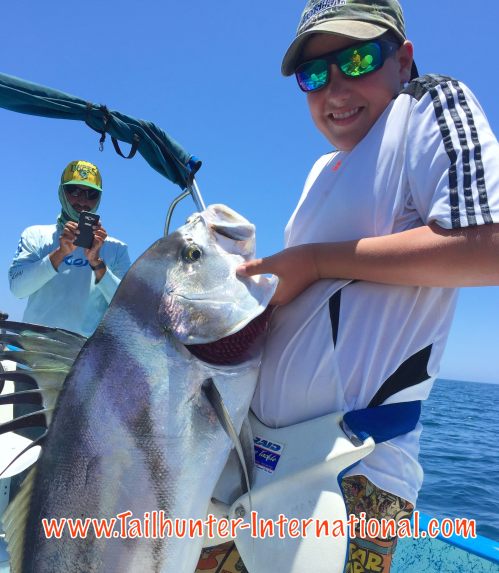 Rooster Tommy 6-16 tags