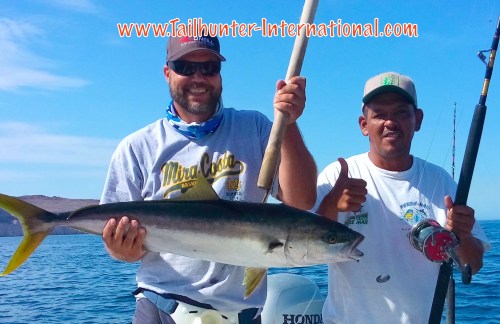 Sam Sybesma tags yellowtail 7-16