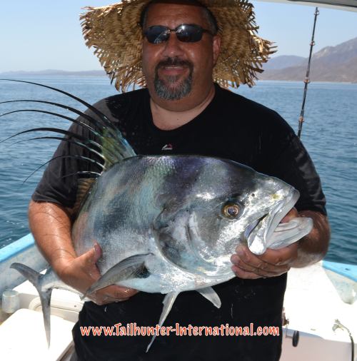 Todd Stevens rooster tags 7-16