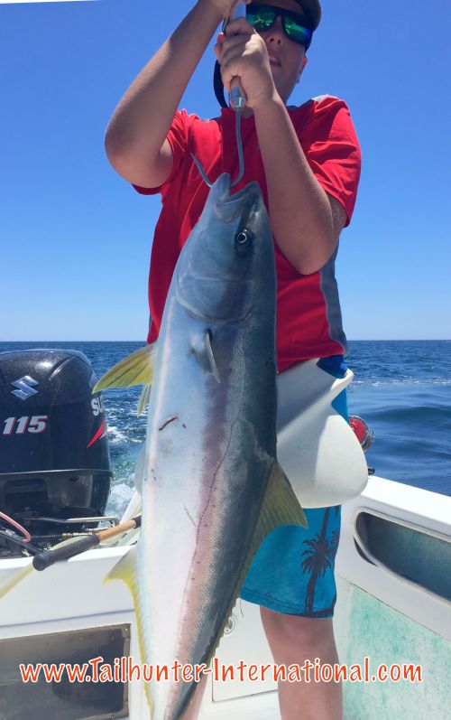 Tommy Yellowtail 6-16 tags