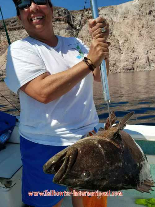 cabrilla Dee Dee tags 8-16