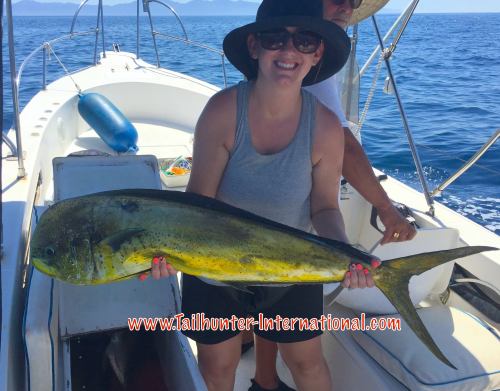 Chelsey tags 7-16 dorado