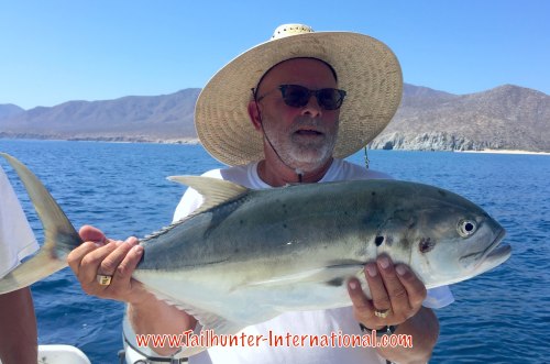 Darrold tags 7-16 jack crevalle