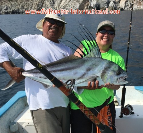 Dee Dee Radar rooster tags 8-16