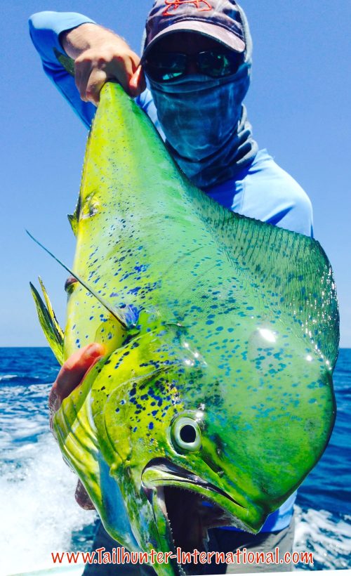 Here's a guy who knows how to pose with a fish! Chad Stachowicz is the man behind the mask and holding one of the nicer dorado from the week! He also just got married a few days ago! Fishing honeymoon! Erin's photo is below!