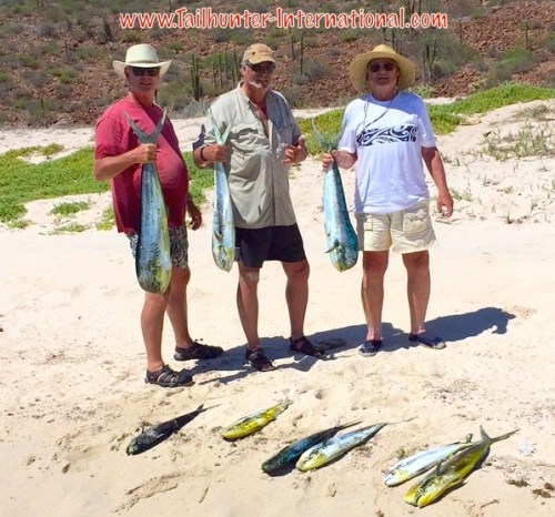 Finally, some decent showing of dorado this past week with Wade Gomes, Greg Gomes and Hugh Fielder. 