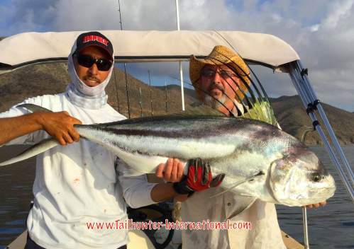 Rick Gibson Pancho tags 7-16 rooster