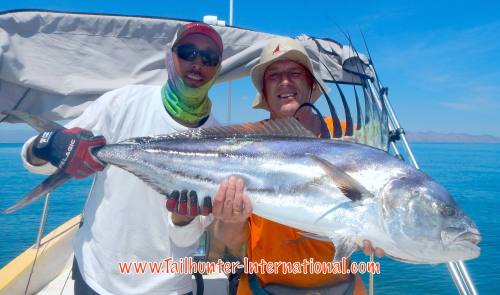 Rooster Anatoly Atamanyk 7-16 tags pancho