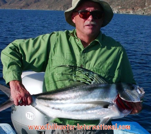 rooster frank tags 8-16