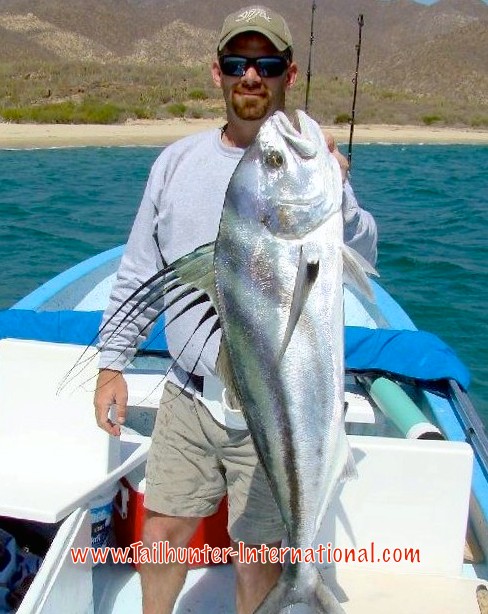 Another catch-and-release rooster! It continues to be a banner year for big roosterfish. This week, they ran 20-40 pounds along the beaches. 