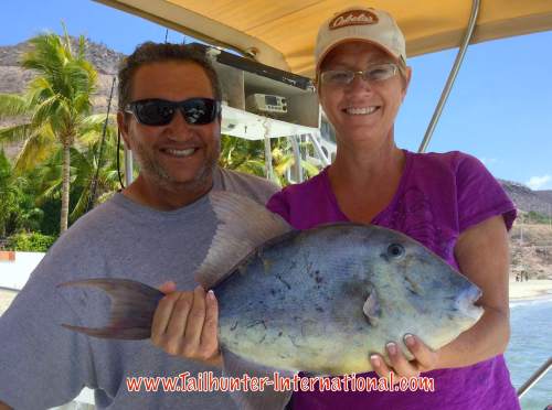 triggerfish Lisa Gibson Rogelio 8-16 tags