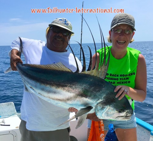 Victor Caroline tags rooster 8-16