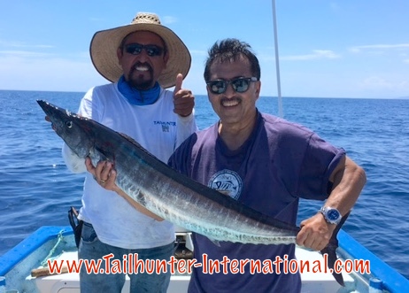 Wahoo Jeff 8-16 tags