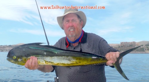 dave-hill-dorado-9-16