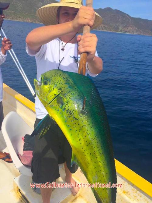 elijah-dorado-tags-9-16