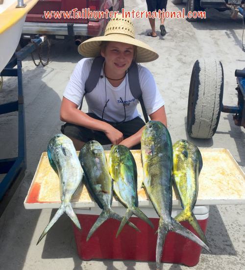 Elijah Florence dorado 9-16 tags