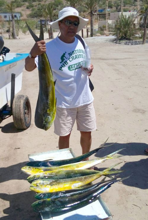 kinh-duong-tags-dorado-9-16