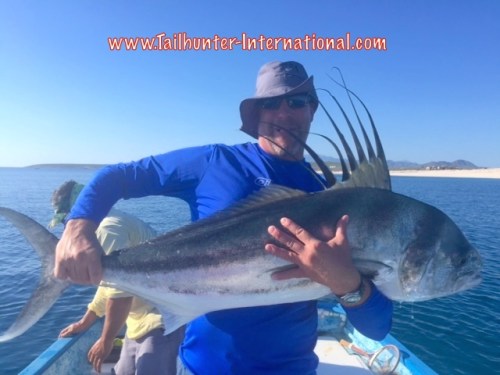 rooster-bob-griffiths-9-16-tags