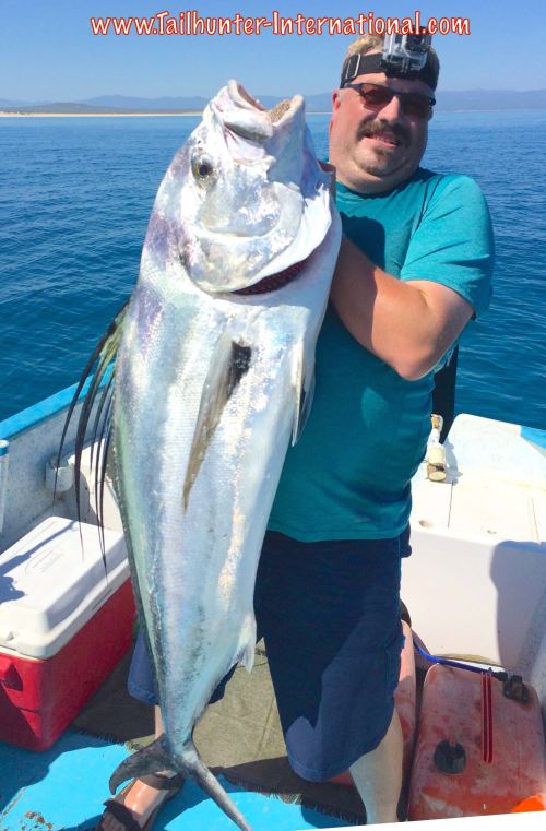 rooster-todd-jones-tags-9-16