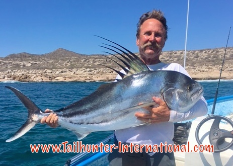 tim-larsen-rooster-tags-9-16