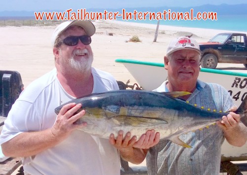 tuna-arcangel-steve-douds-tags-9-16