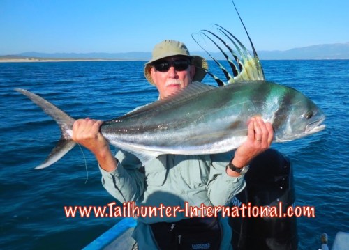 wayne-seibert-tags-9-16-rooster