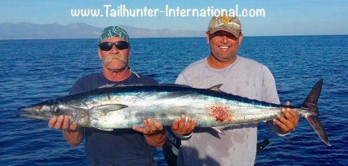 armando-rusty-wahoo-tags-10-16