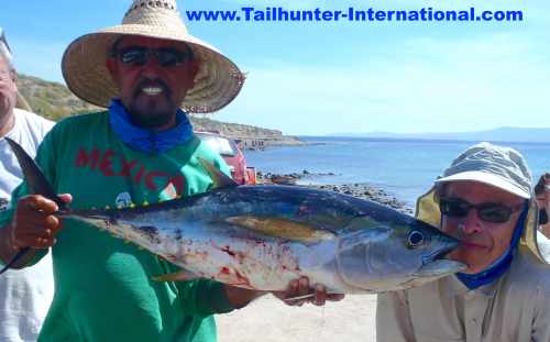 scott-evans-tags-jorge-10-16-tuna