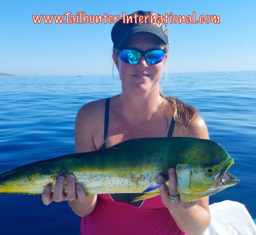 shayna-tags-dorado-10-16