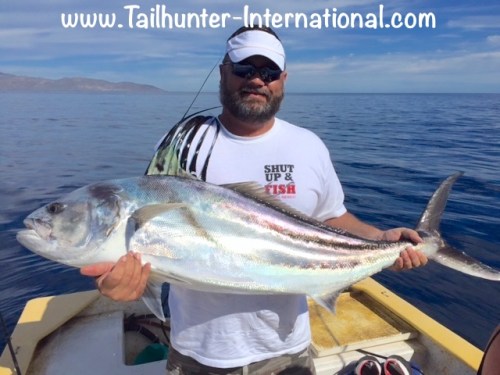 brandon-mcgarr-tags-rooster-11-16