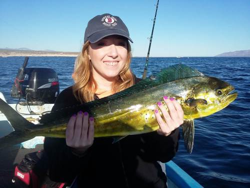 15991557_236259263489599_944825887_o