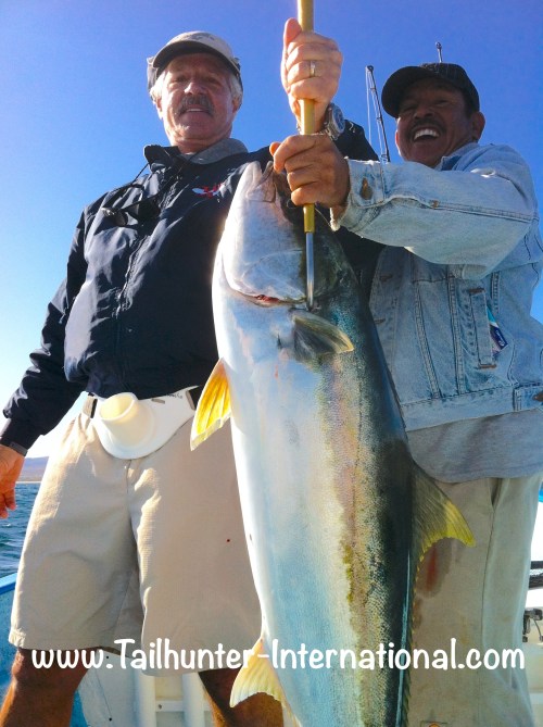 Gary Wagner, the owner of the famous Giggling Marlin Bar in Cabo San Lucas also has his Rancho La Costa there in Bahia de los Muertos and went out in the afternoon to try to catch some dinner and came back with this sweet fat yellowtail right off the rocks at Punta Perrico using dead mackerel.