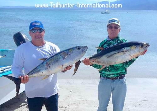 armando-tuna-2-17-tags