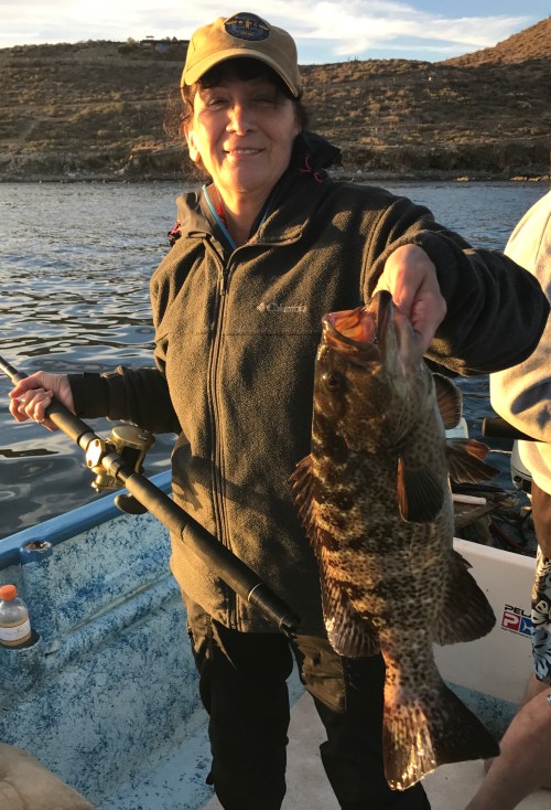 micward-alaska-cabrilla