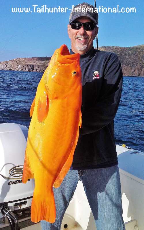 roger-thompson-tags-golden-grouper-2-17-tags