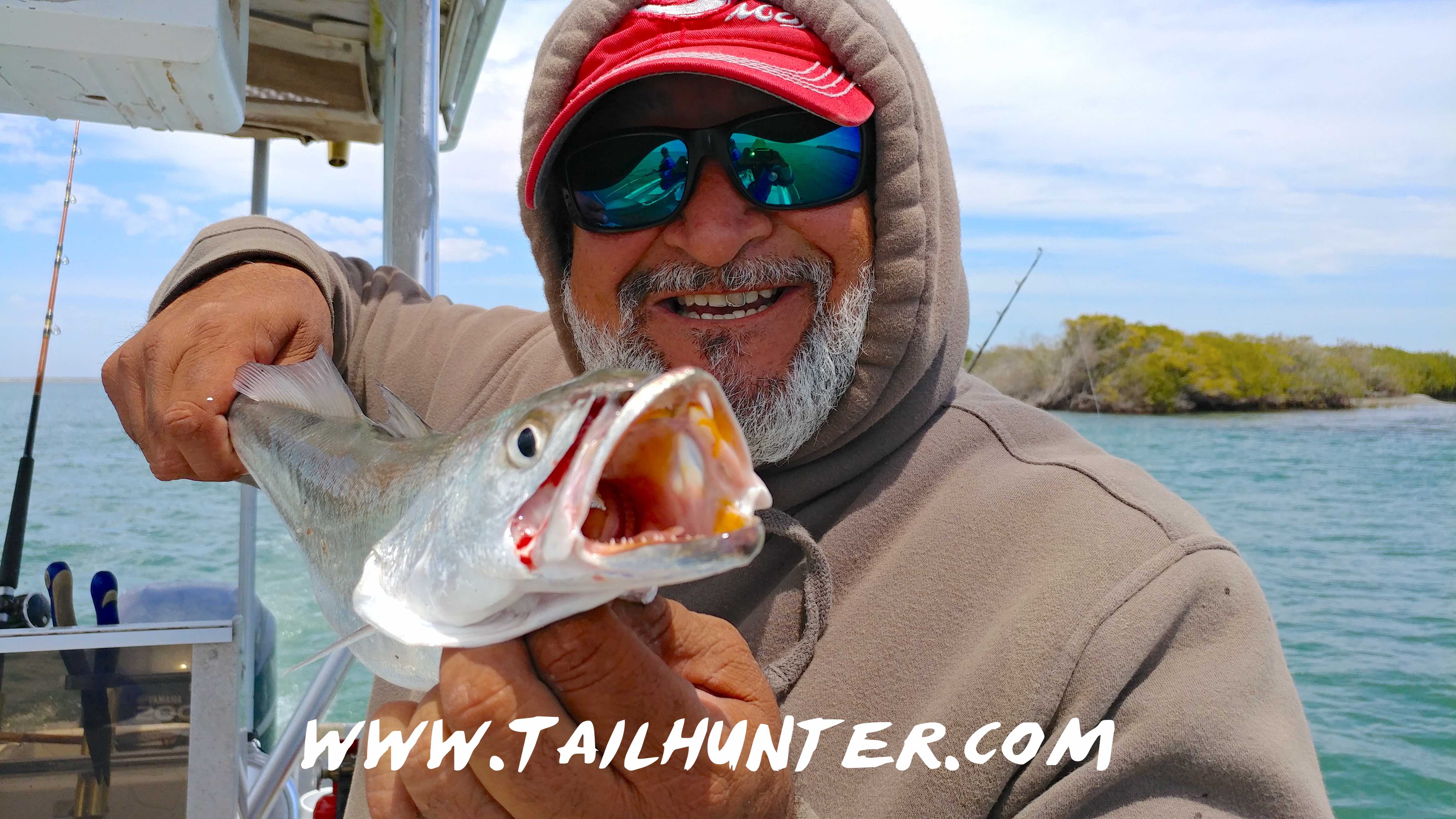 Corbina Spearfishing