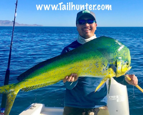 Des dorado tags 5-18