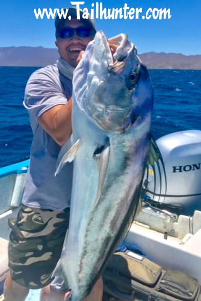 Desmond tags rooster 5-18