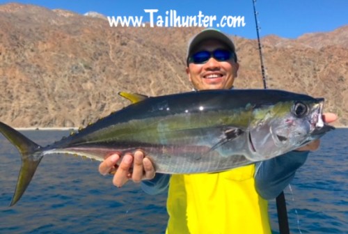 Desmond tuna tags 5-18