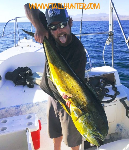 DROADO BLAKE WARREN DORADO TAGS 5-18