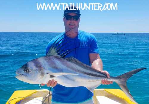 JOsh hobgood rooster 5-18.jpg TAGS