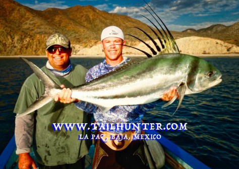 Armando rooster RS TAGS dave lester 6-19