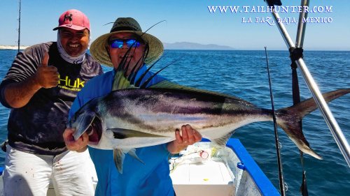 Dave boos rooster TAGS 6-19