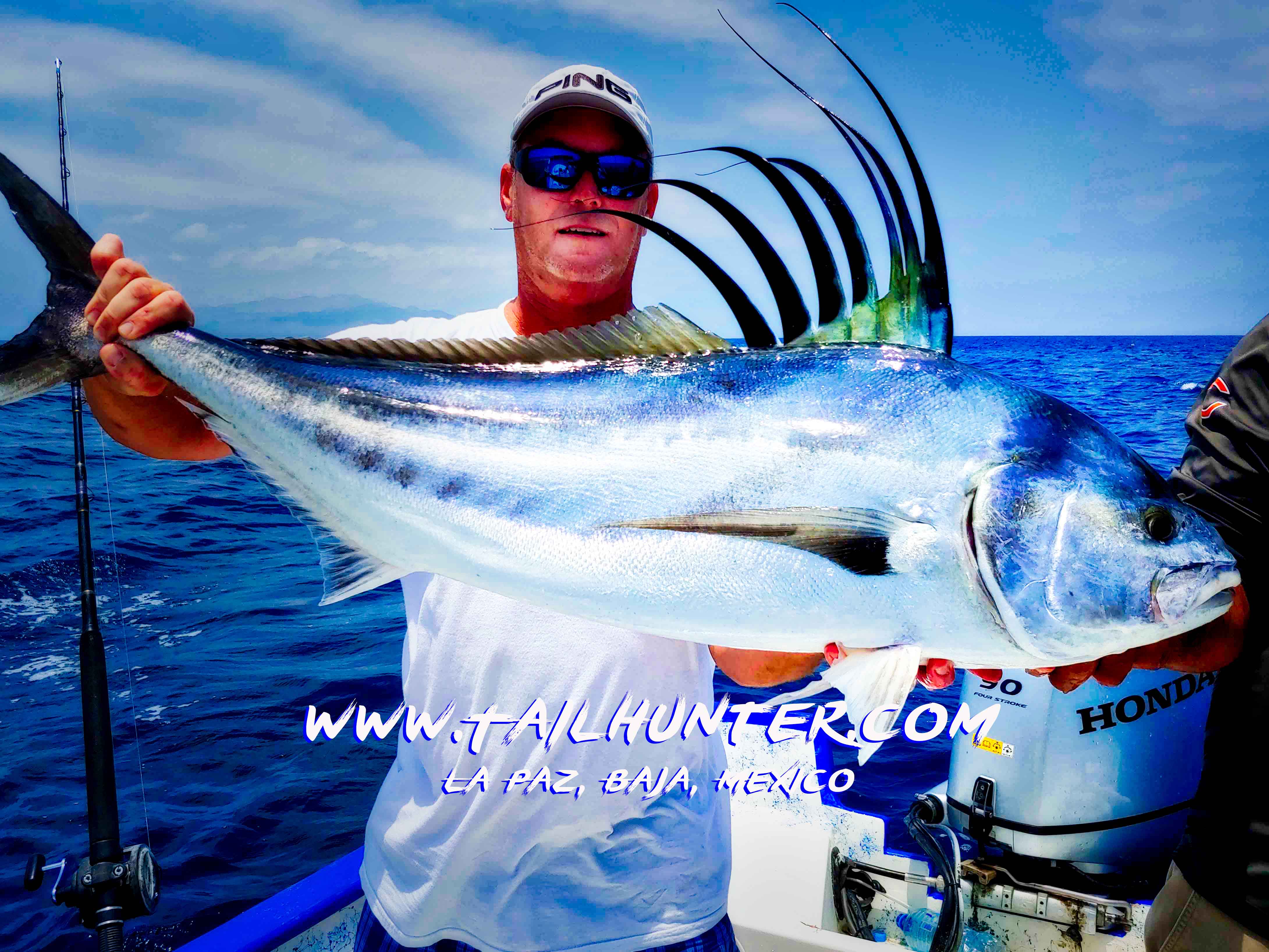 DAve waite rooster tags 6-19