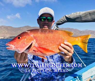 pargo Dave Lester TAGS 6-19
