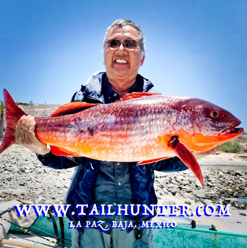 Pargo dave TAGS gee 6-19