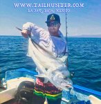 Paul Gassmann tags rooster&nbsp;6-18