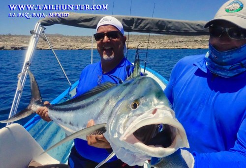 Rooster Burgess TAGS 6-19 rooster