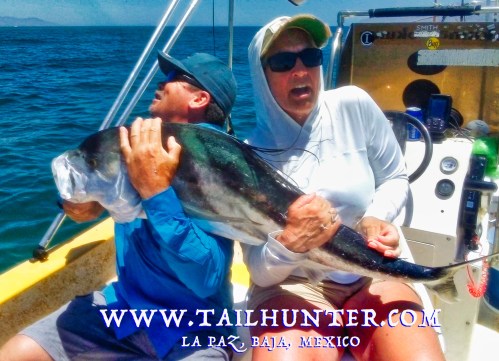 rooster wrestle TAGS gabe lao kim hunt 6-19