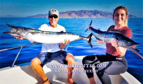 tay rog resize hoo2 tags 6-19